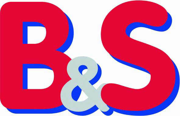 B&S Sachverständigen GmbH Logo
