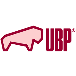 UBP-Consulting GmbH & Co. KG Logo
