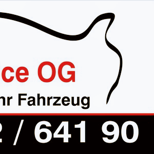 Tonelli Service OG Logo