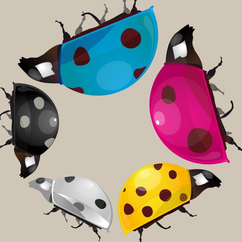 Steurer Medienhaus GmbH Logo