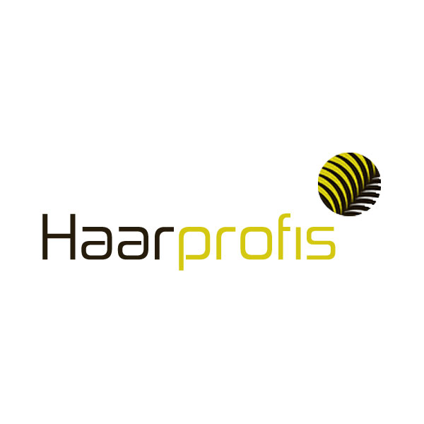 Die Haarprofis - Susanne Ripke Logo