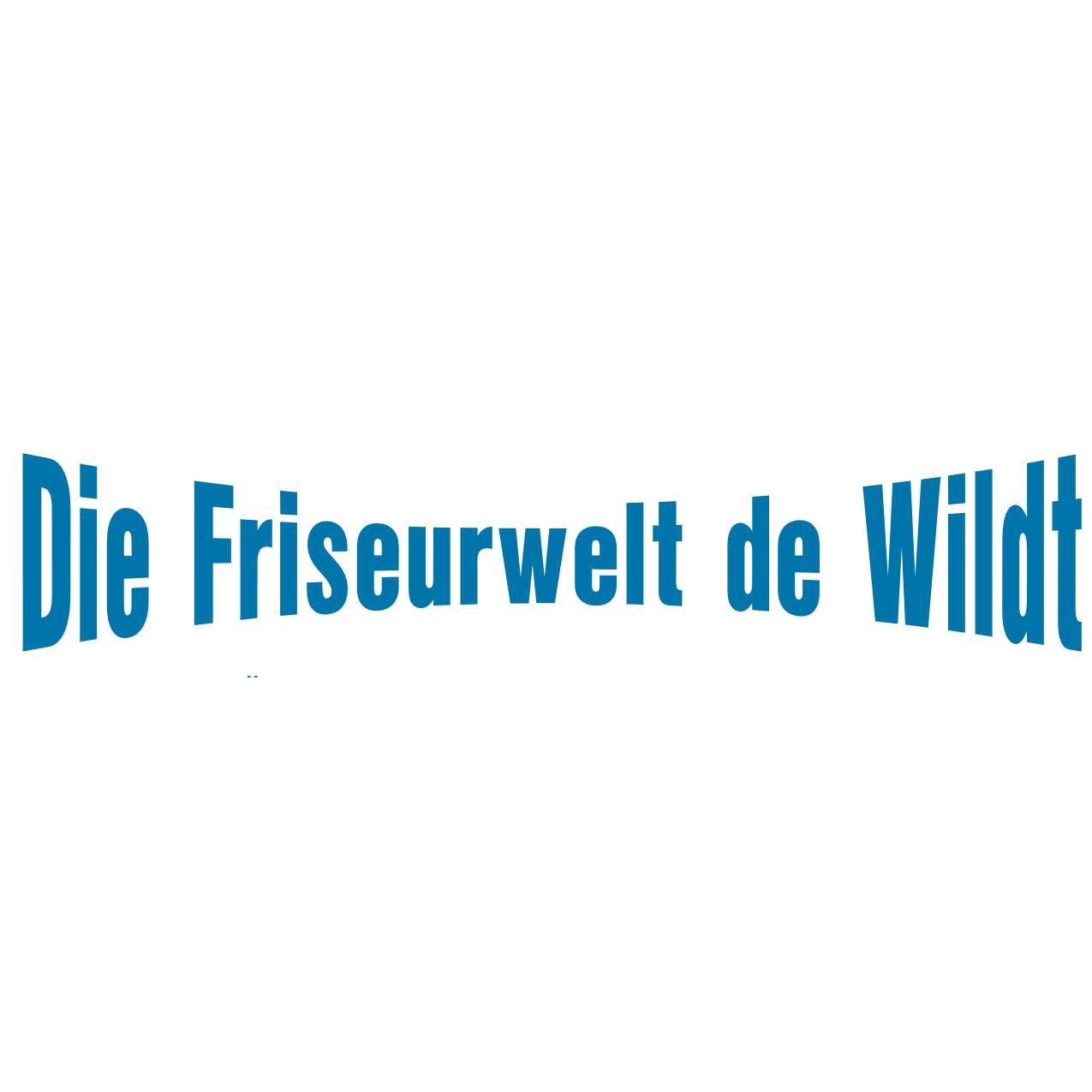 Die Friseurwelt de Wildt Logo