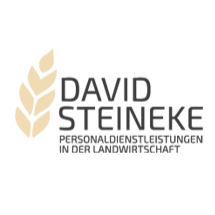 David Steineke e.K. Logo