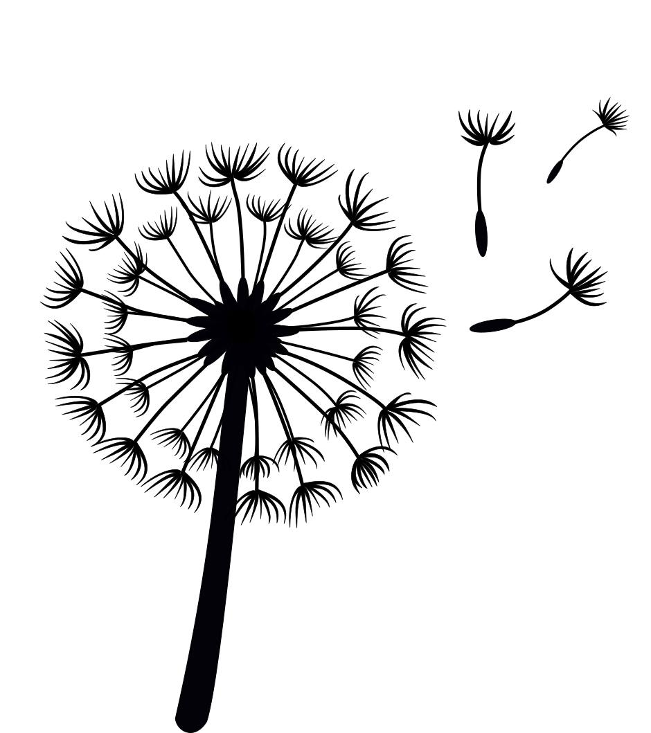 wishsite Logo