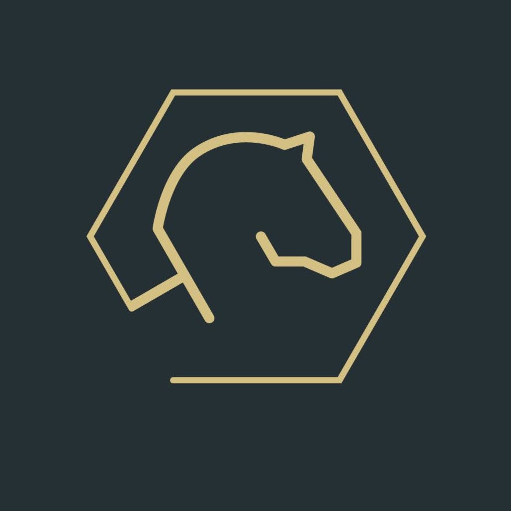 Steckenpferd Immobilien GmbH Logo
