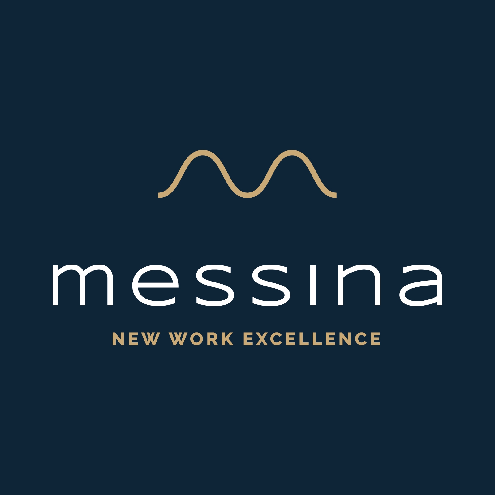 Messina GmbH - Vertrieb von Arbeitsschutz, Hygieneartikel und Bürobedarf Logo