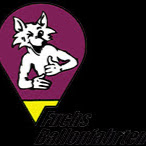 Ballonfahrten Fuchs | Allmendingen / Hausen Logo