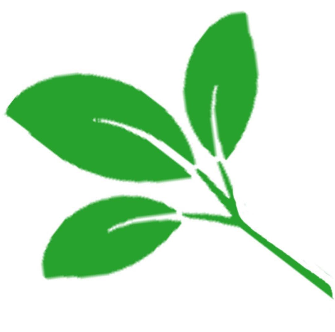 Ströer Innen- und Außengrün Logo